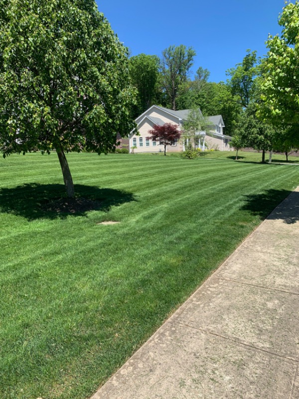 affordable-grass-cutting-businesses-in-Edison-NJ