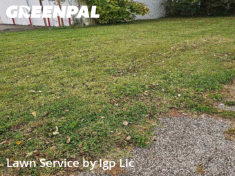Lawn Maintenance nearby Evansville, IN, 
