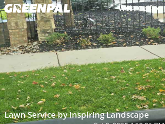 Lawn Cutin Denver,80204,Lawn Mow by Inspiring Landscape, work completed in Nov , 2025