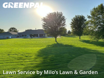 Grass Cut nearby Pasco, WA, 