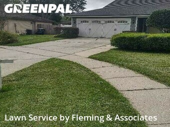 Grass Cut nearby Jacksonville, FL, 