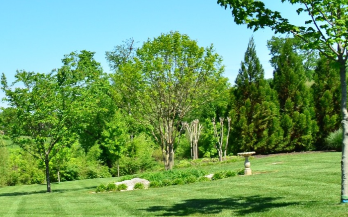 Work Image 3