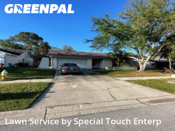 Grass Cut nearby Clearwater, FL, 