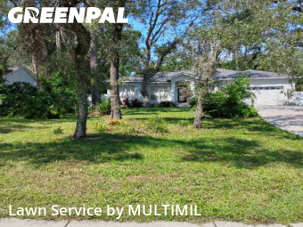 Lawn Mowing in Temple Terrace, 33617, Yard Work by MULTIMIL , work completed in Nov , 2025