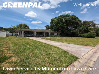 Lawn Mow nearby Tampa, FL, 