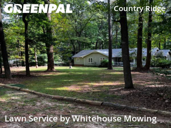 Grass Cut nearby Raleigh, NC, 