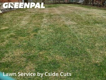 Lawn Mow nearby Pittsburgh, PA, 