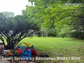 Lawn Maintenance nearby Abington Township, PA, 