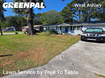 Lawn Care Service nearby Charleston, SC, 