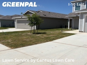 Landscaping Services In San Antonio,78219,Landscaping Maintenance by Cantus Lawn Care, work completed in Jul , 2026
