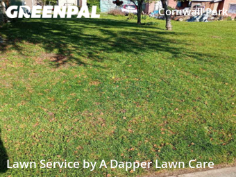 Lawn Care Service nearby Bellingham, WA, 