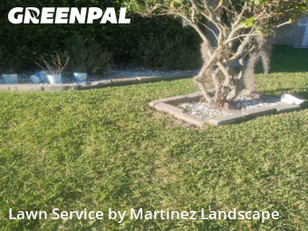 Yard Mowing nearby Tavares, FL, 