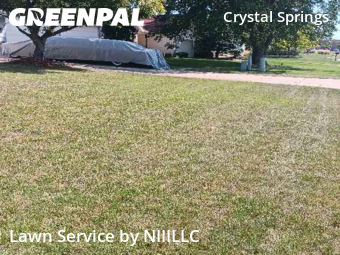 Grass Cut nearby Grand Rapids, MI, 