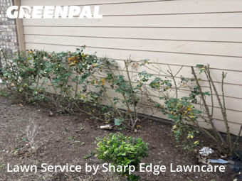 Yard Cutting nearby Austin, TX, 