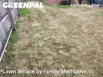Lawn Care Service nearby Arvada, CO, 