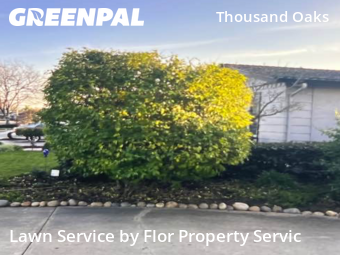 Work completed by professional-lawn-care-service-in-San Jose-CA