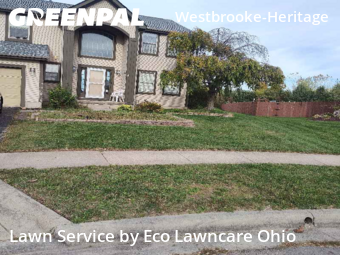 Yard Upkeep in Hilliard, 43026, Garden Trimming by Eco Lawncare Ohio, work completed in Dec , 2025