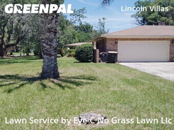 Lawn Cutin Jacksonville,32219,Grass Cutting by Eye C No Grass Lawn Llc, work completed in Jun , 2026