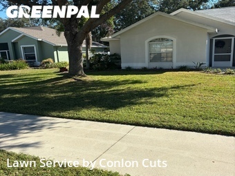 Lawn Mow nearby Palmetto, FL, 