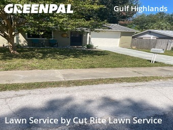 Grass Cut nearby Port Richey, FL, 