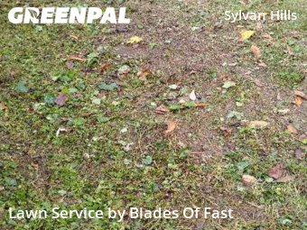 Yard Mowing nearby Atlanta, GA, 