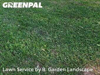 Lawn Cutting nearby Lawrenceville, GA, 