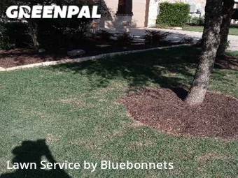 Lawn Mowing nearby Georgetown, TX, 