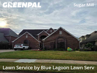 Lawn Care Servicein Sugar Land,77498,Lawn Mowing Service by Blue Lagoon Lawn Serv, work completed in Jan , 2026