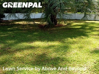 Lawn Cutting nearby Myrtle Beach, GA, 