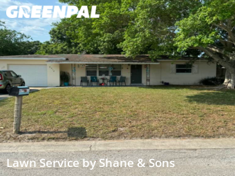 Lawn Mowing nearby St. Petersburg, FL, 