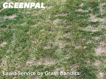 Lawn Care nearby Billings, MT, 