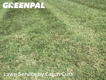 Lawn Mowing nearby Murfreesboro, TN, 