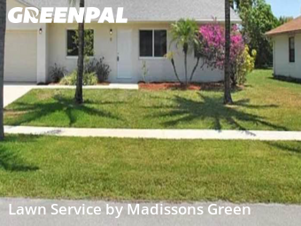 Turf Services in Royal Palm Beach, 33411, Lawn Services by Madissons Green, work completed in Nov , 2025