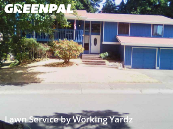 Lawn Mowing in Federal Way, 98003, Landscaping Maintenance by Working Yardz, work completed in Nov , 2025