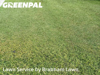 Lawn Cut nearby Geismar, LA, 