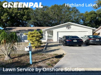 Lawn Mow nearby Palm Harbor, FL, 