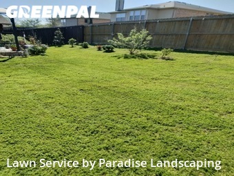 Lawn Service nearby Mc Kinney, TX, 