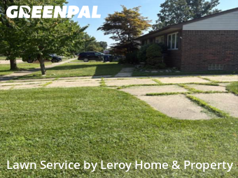 Lawn Care nearby Canton, MI, 