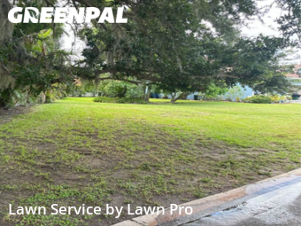 Grass Cut nearby Osprey, FL, 