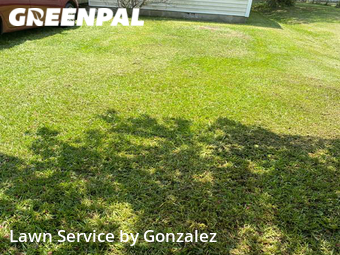 Lawn Cut nearby Selma, NC, 