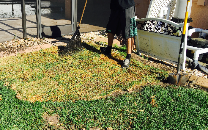 Work Image 1