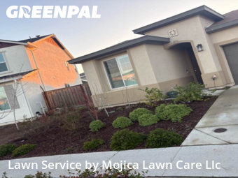 Work completed by local-lawn-care-services-in-Roseville-CA