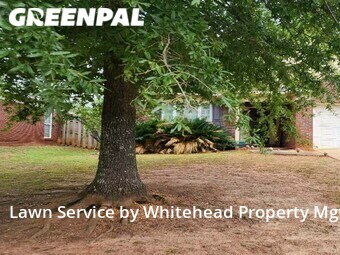 Grass Cut nearby Columbus, GA, 