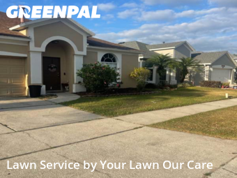 Yard Cutting nearby Clermont, FL, 
