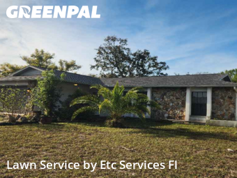Lawn Upkeep in Bayonet Point, 34668, Weekly Mowing by Etc Services Fl, work completed in Nov , 2025