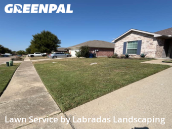 Lawn Cut nearby Wylie, TX, 