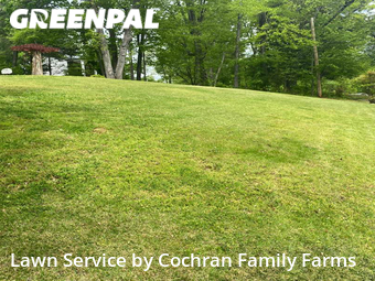 Lawn Cut nearby Oak Ridge, TN, 