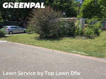 Lawn Care nearby Mc Kinney, TX, 