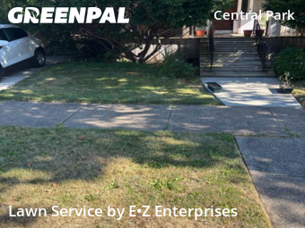 Lawn Cut nearby Buffalo, NY, 