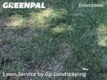 Lawn Care Service nearby Charlotte, NC, 